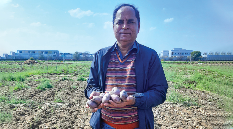 A nutrient-rich harvest