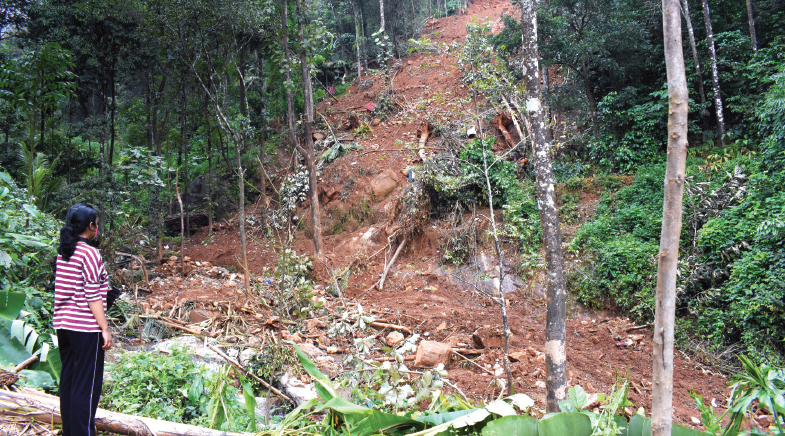 Tech tools that help map landslides