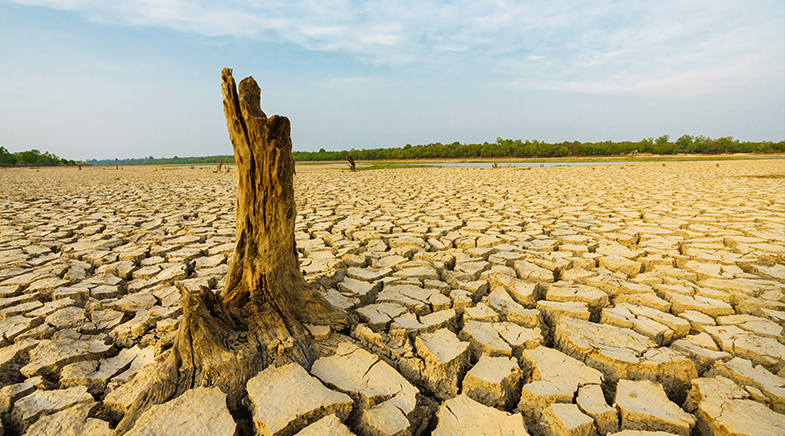 Grim news for groundwater levels in north India