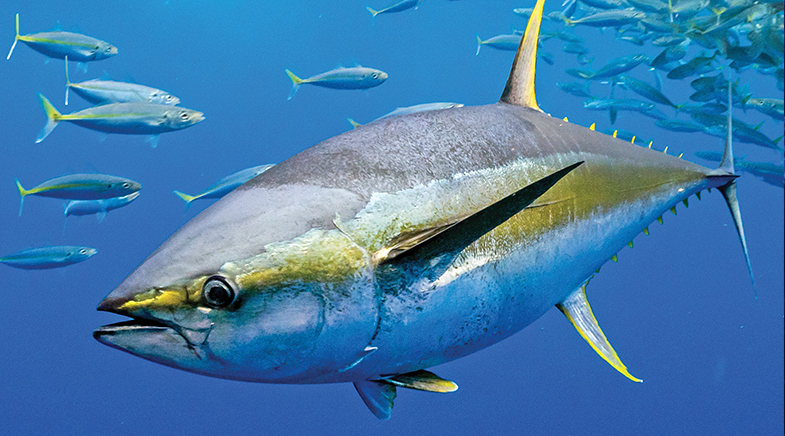 Water under the bridge Water under the bridge