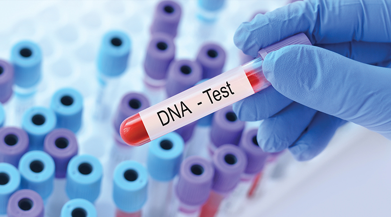 The gene map