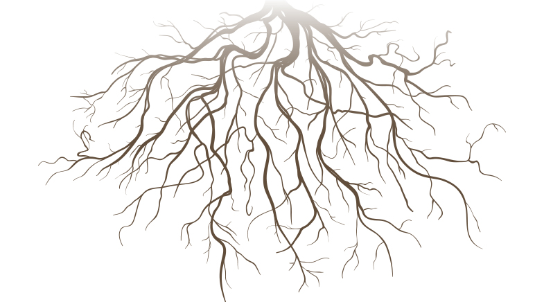 What lies beneath What lies beneath