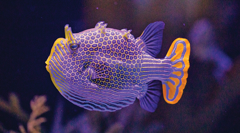 Touring with Turing Touring with Turing