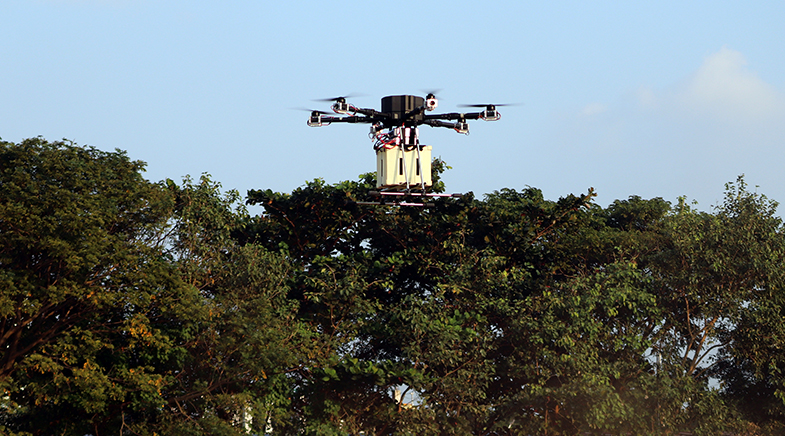 Out for drone delivery