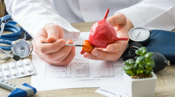 IIT Kanpur scientists provide insights into prostate cancer IIT Kanpur scientists provide insights into prostate cancer