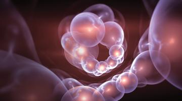 The chemistry of life The chemistry of life
