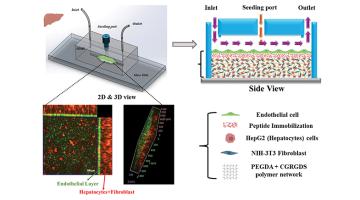 Chip to fight disease