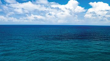 A million-dollar question