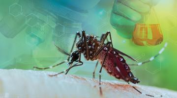 Drug target to fight malaria transmission identified