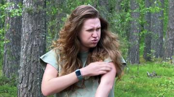 How the mosquito got a taste of human blood