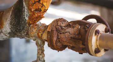 Cow dung helps arrest metal corrosion