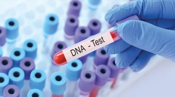 The gene map The gene map