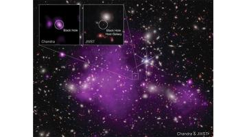 Mystery of  the monsters