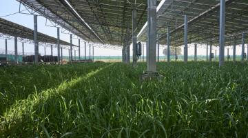 The sun shines on solar farming