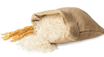 Rice is nice Rice is nice
