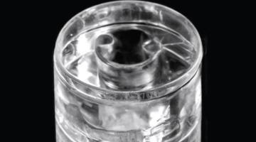 Chip off the old block