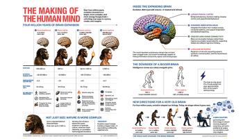 The making of the human mind