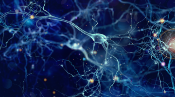 A light-and-heat show for exciting neurons A light-and-heat show for exciting neurons