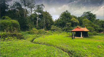 A Kerala village shows the way